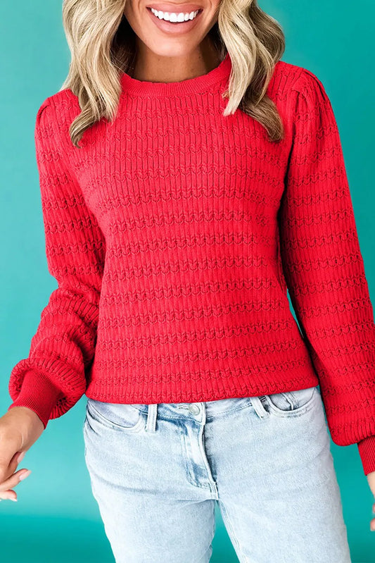 Fiery Red Trendy Print Knit Ribbed Cuffs Crew Neck Sweater Dear-Lover Dropshipping