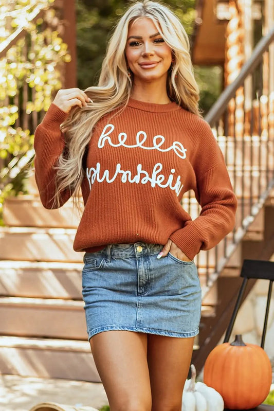 Flamingo hello pumpkin sweater - Love Salve