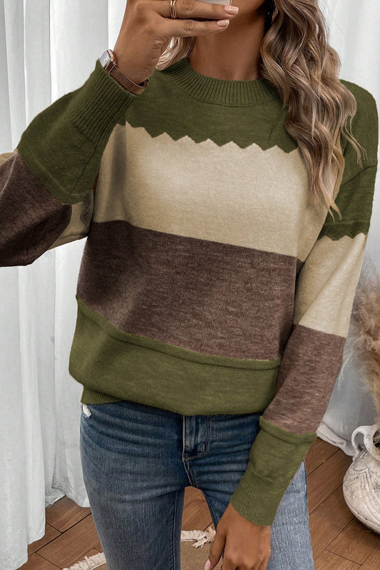 Brown Colorblock Crew Neck Drop Shoulder Knit Sweater Dear-Lover Dropshipping