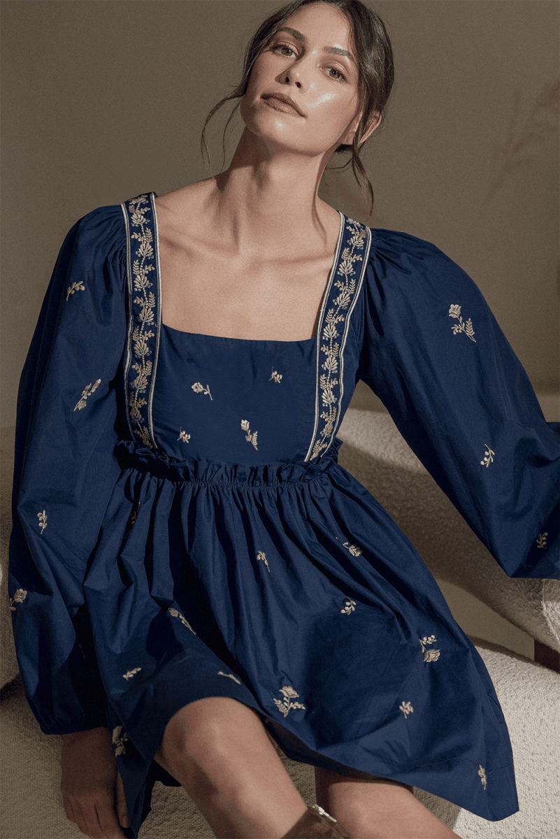 Embroidered Blue Floral Mini Dress with Puff Sleeves and Ruffled Hem - Love Salve