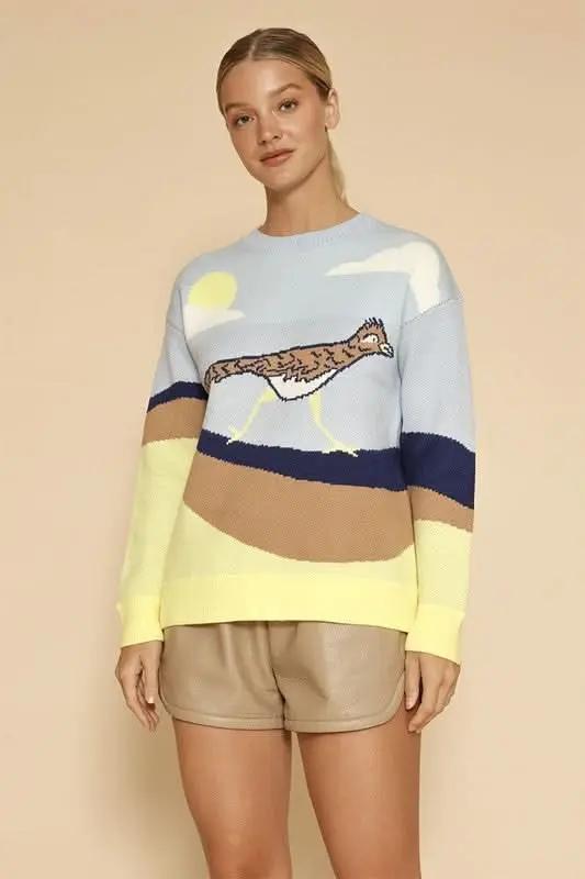 Vibrant roadrunner knit sweater - Love Salve