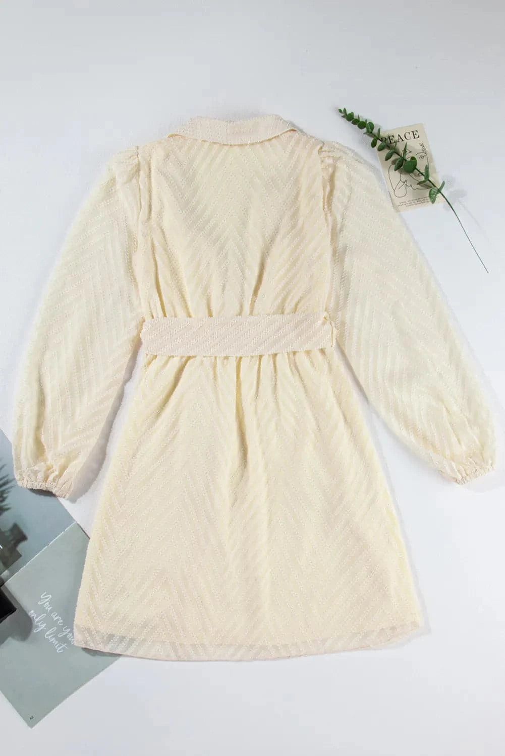 Surplice Long Sleeve Mini Dress.