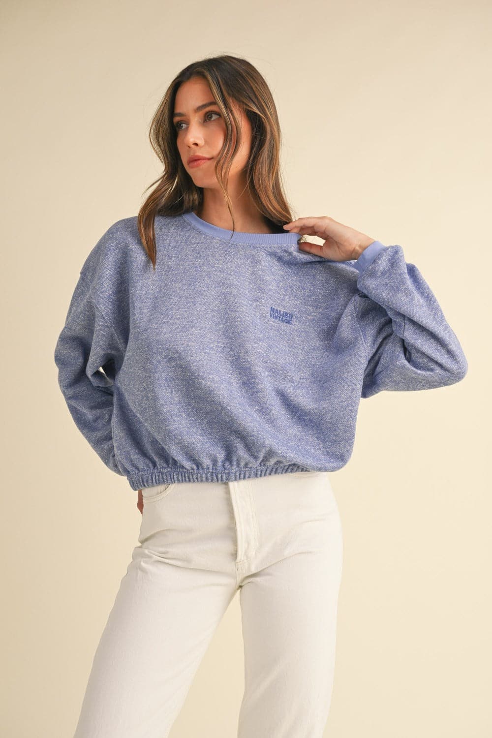 Vintage malibu crop sweatshirt