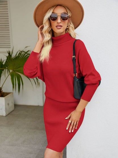 Turtle Neck Long Sleeve Ribbed Sweater Dress.