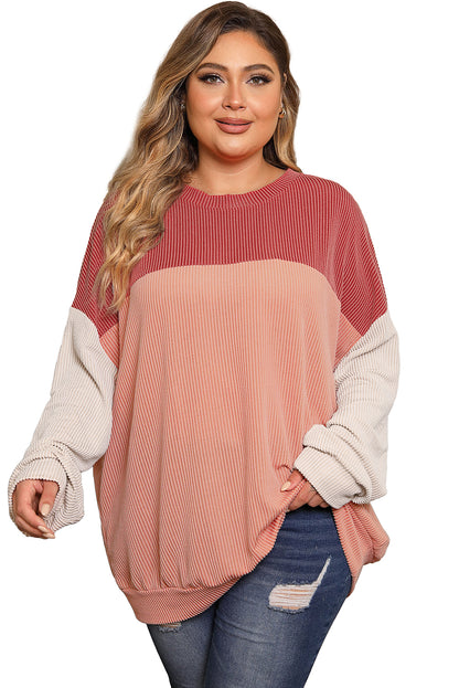 Chic colorblock ribbed long sleeve top in plus sizes