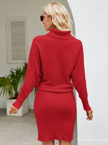 Turtle Neck Long Sleeve Ribbed Sweater Dress.