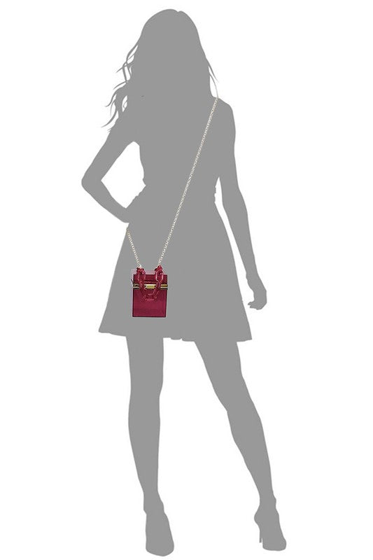 Acrylic Chain Handle See Thru Crossbody Clutch Coco’s Tee Boutique