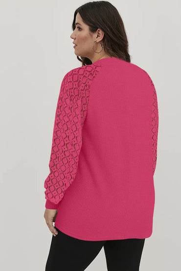 Plus size strawberry pink waffle knit top with lace contrast sleeves