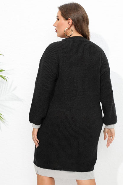 Plus Size Long Sleeve Sweater Dress.