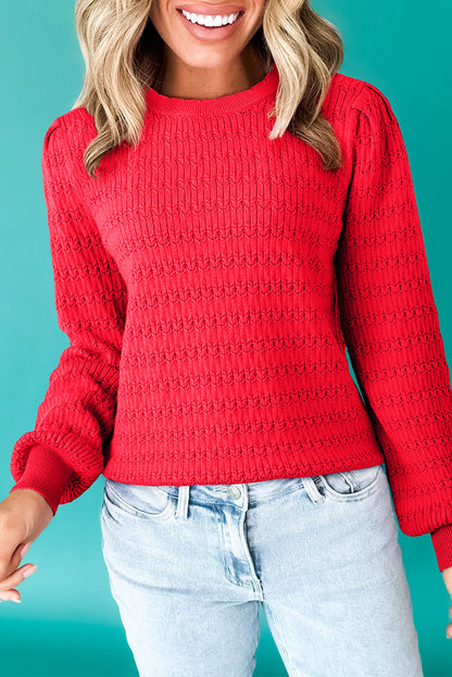 Fiery Red Trendy Print Knit Ribbed Cuffs Crew Neck Sweater
