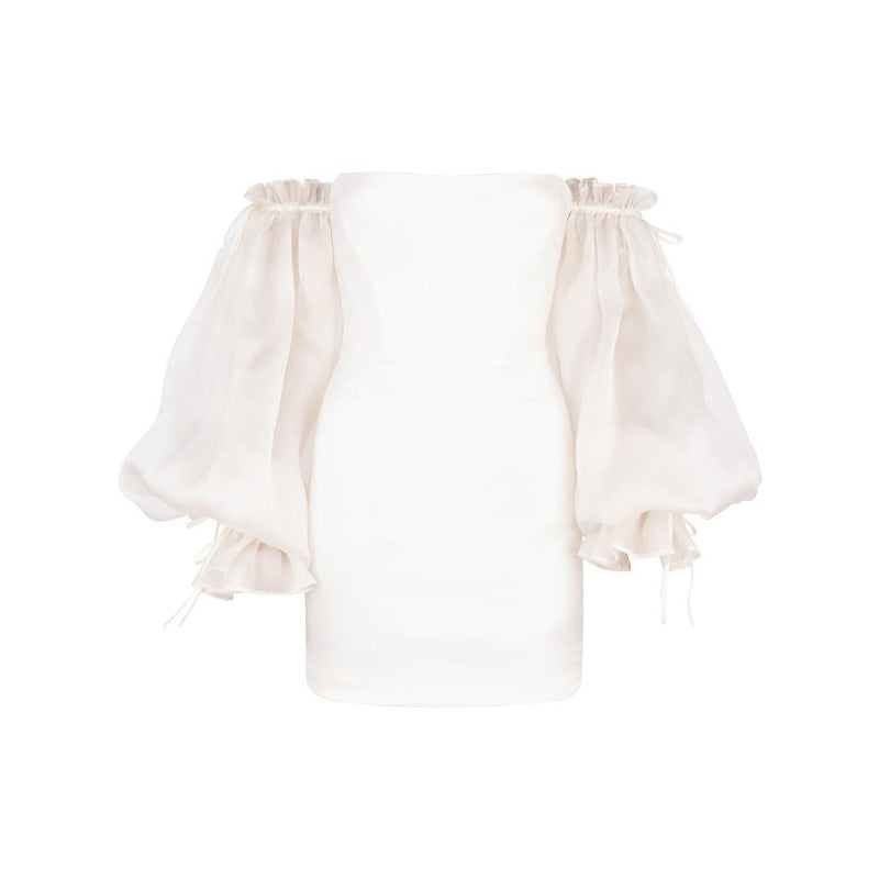 Women Clothing Sexy Off-the-shoulder All-matching Lantern Sleeve Tube Top Dress Autumn Winter Bella Mia