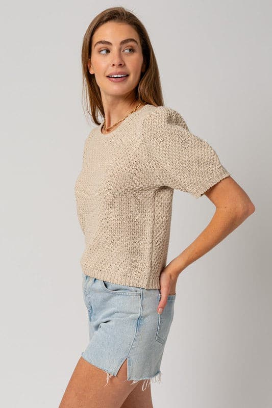 Puff Sleeve Round Neck Texture Sweater Top.