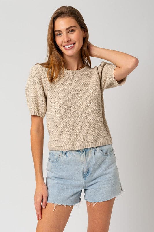 Puff Sleeve Round Neck Texture Sweater Top.