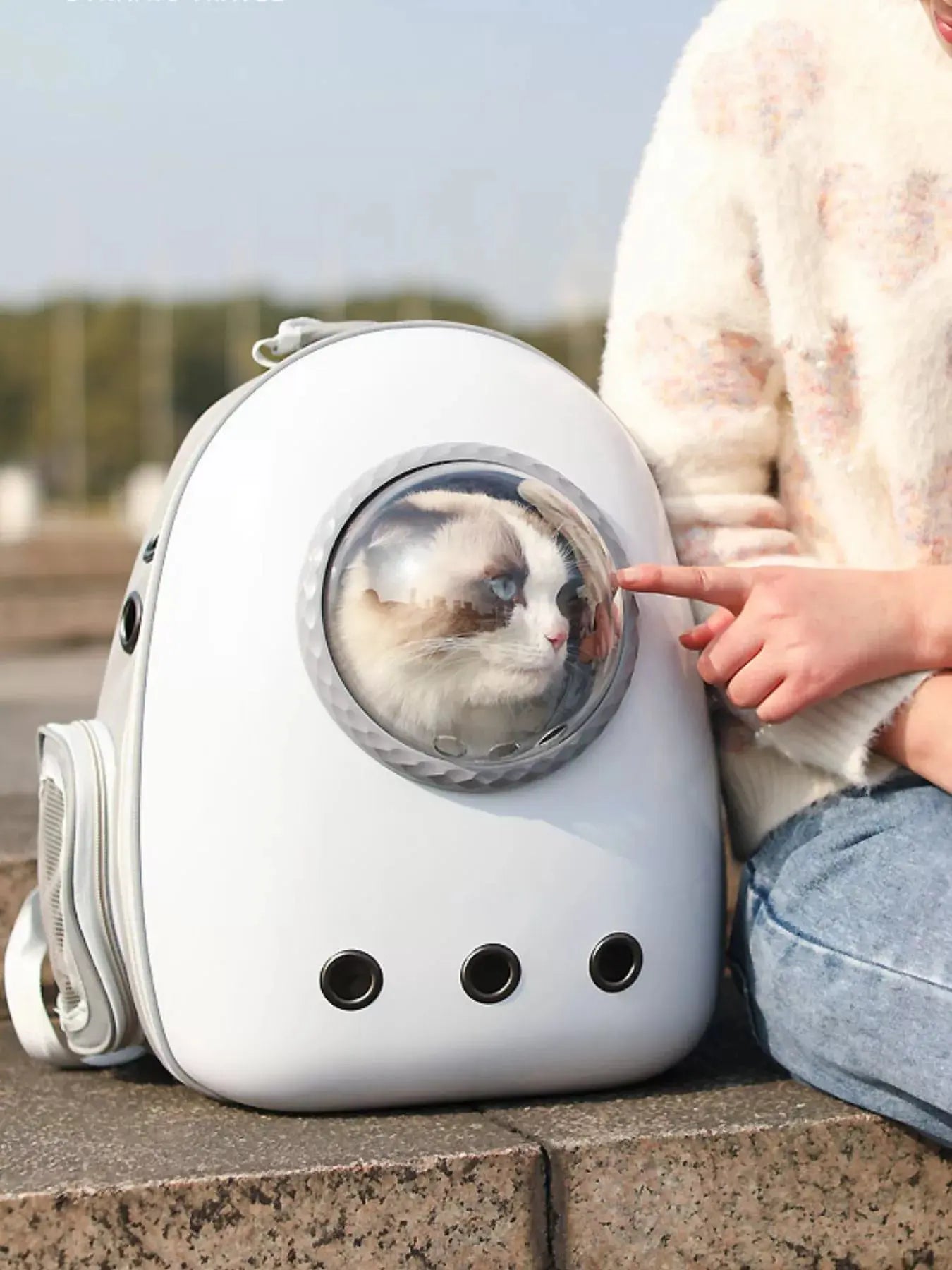 Space Capsule Transparent Pet Carrier Backpack Simply Love
