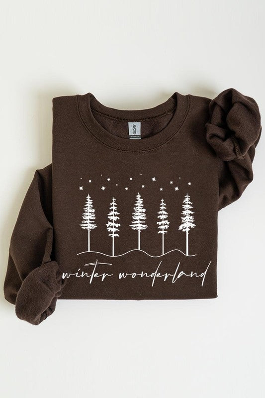 Winter Wonderland Graphic Fleece Sweatshirts