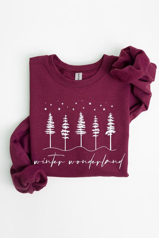 Winter Wonderland Graphic Fleece Sweatshirts