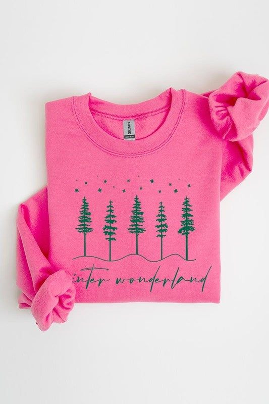 Winter Wonderland Graphic Fleece Sweatshirts