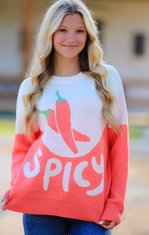 Feeling spicy knit sweater Miss Sparkling