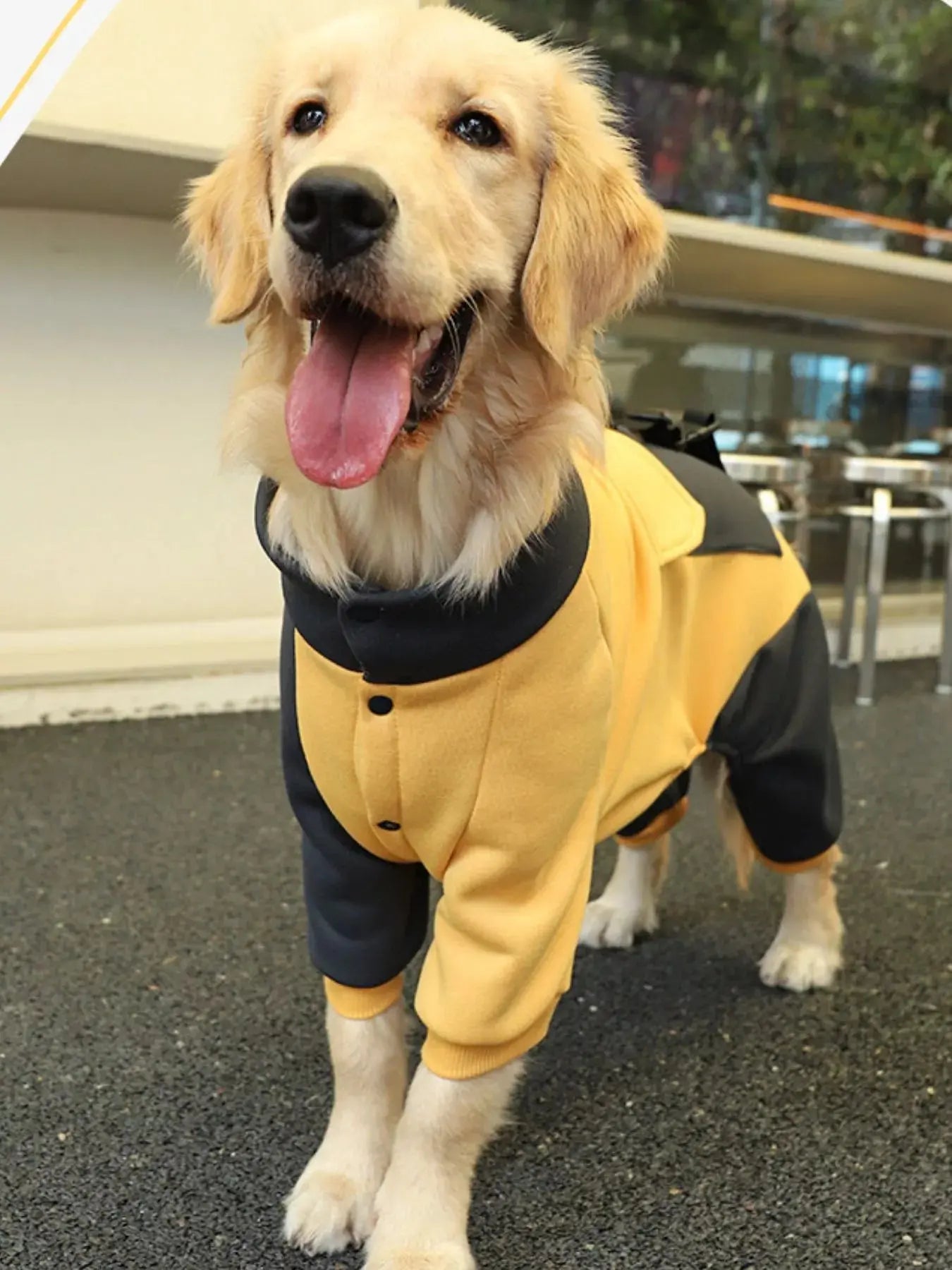 Two-Tone Dog Jacket Simply Love