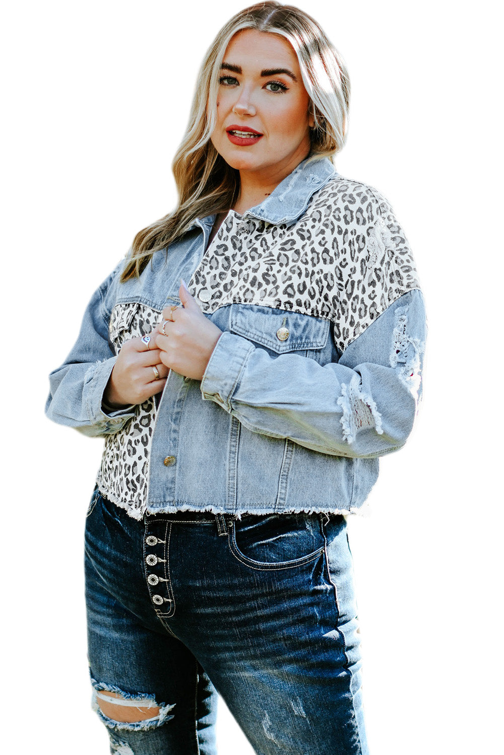 Fierce and trendy plus size leopard cropped denim jacket