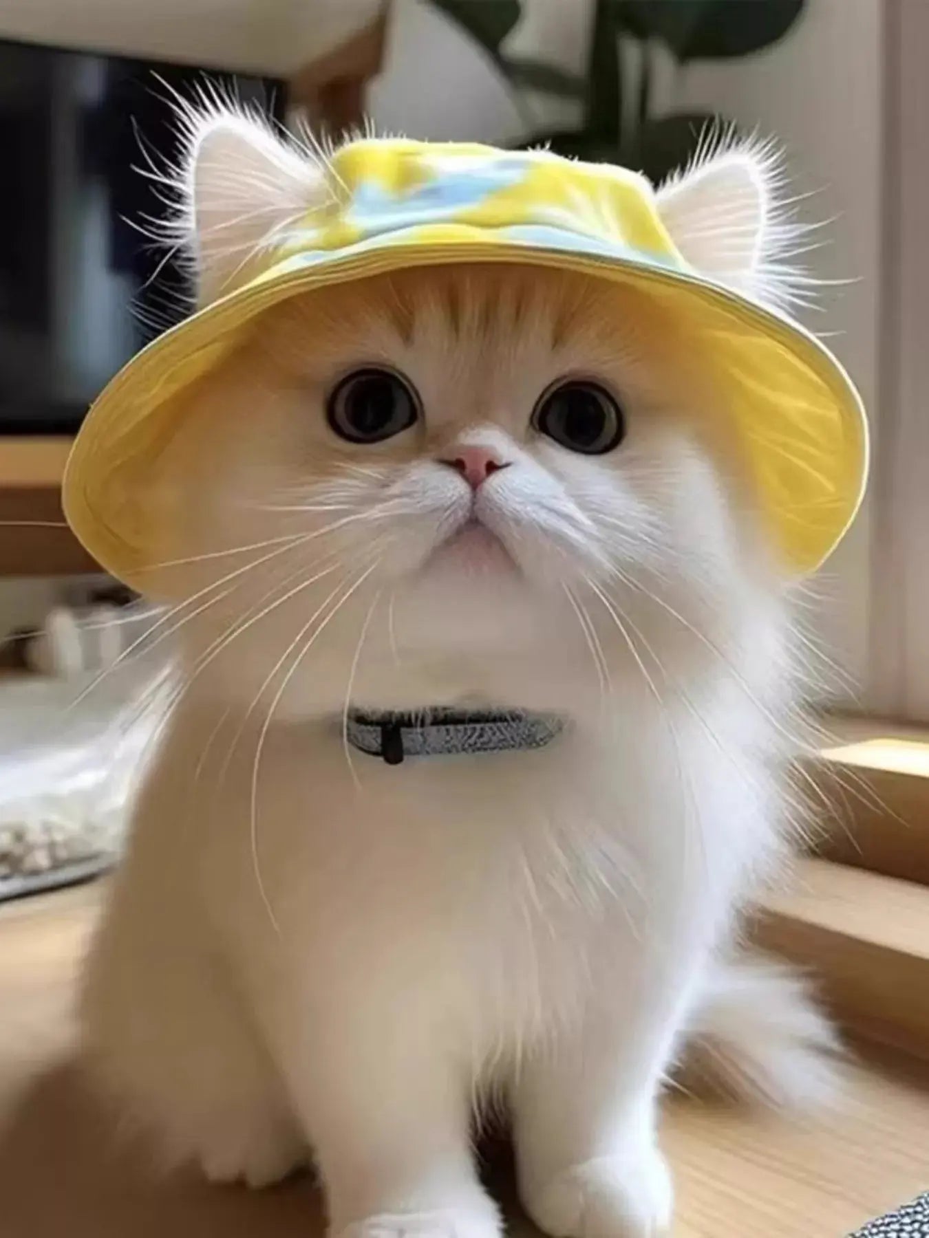 Pet Bucket Hat Simply Love