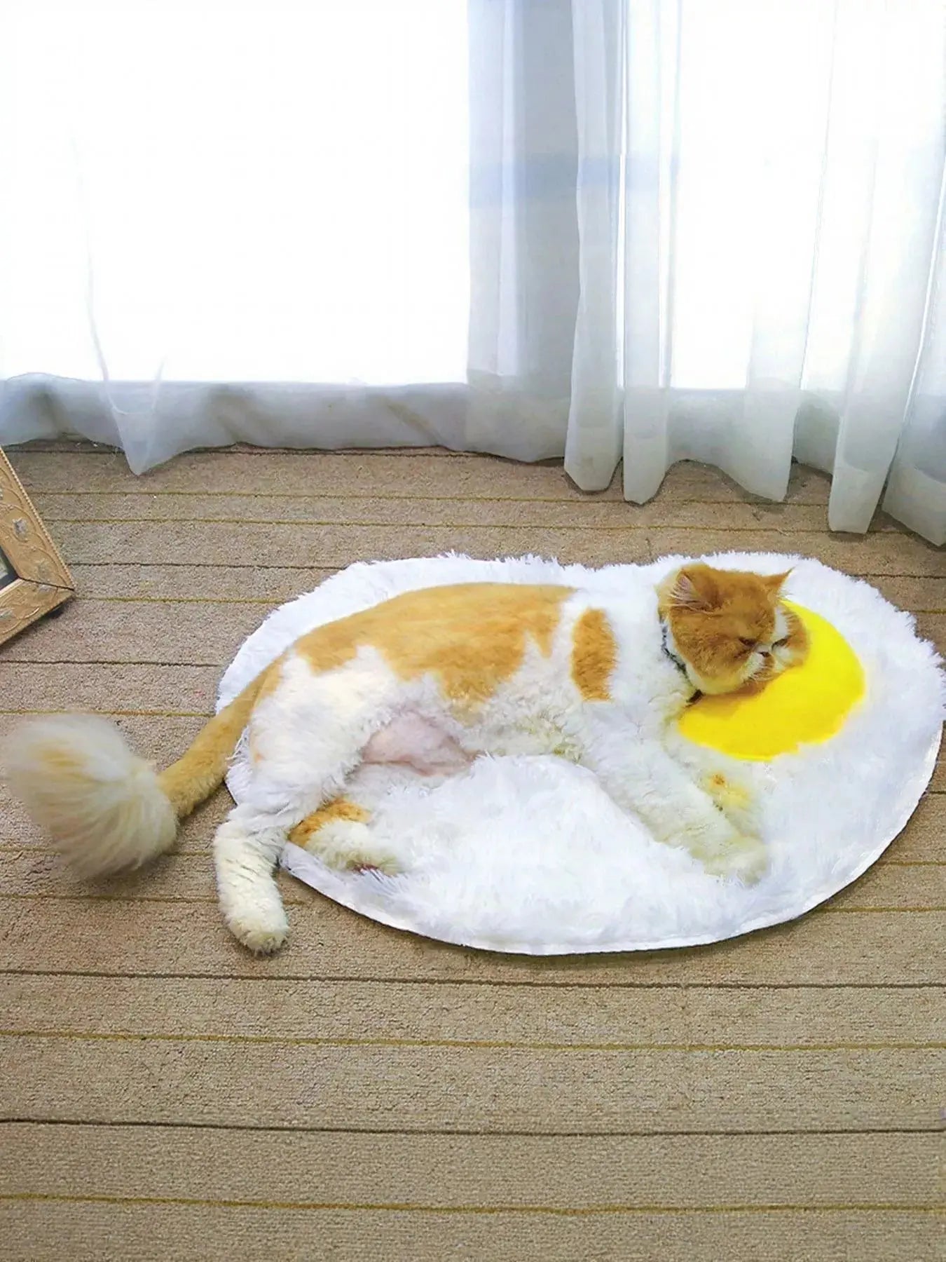Fried Egg Design Plush Pet Mat Simply Love