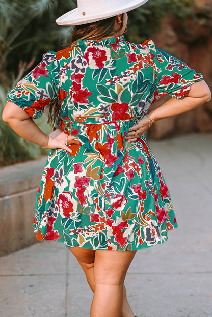 Sky blue floral plus size dress