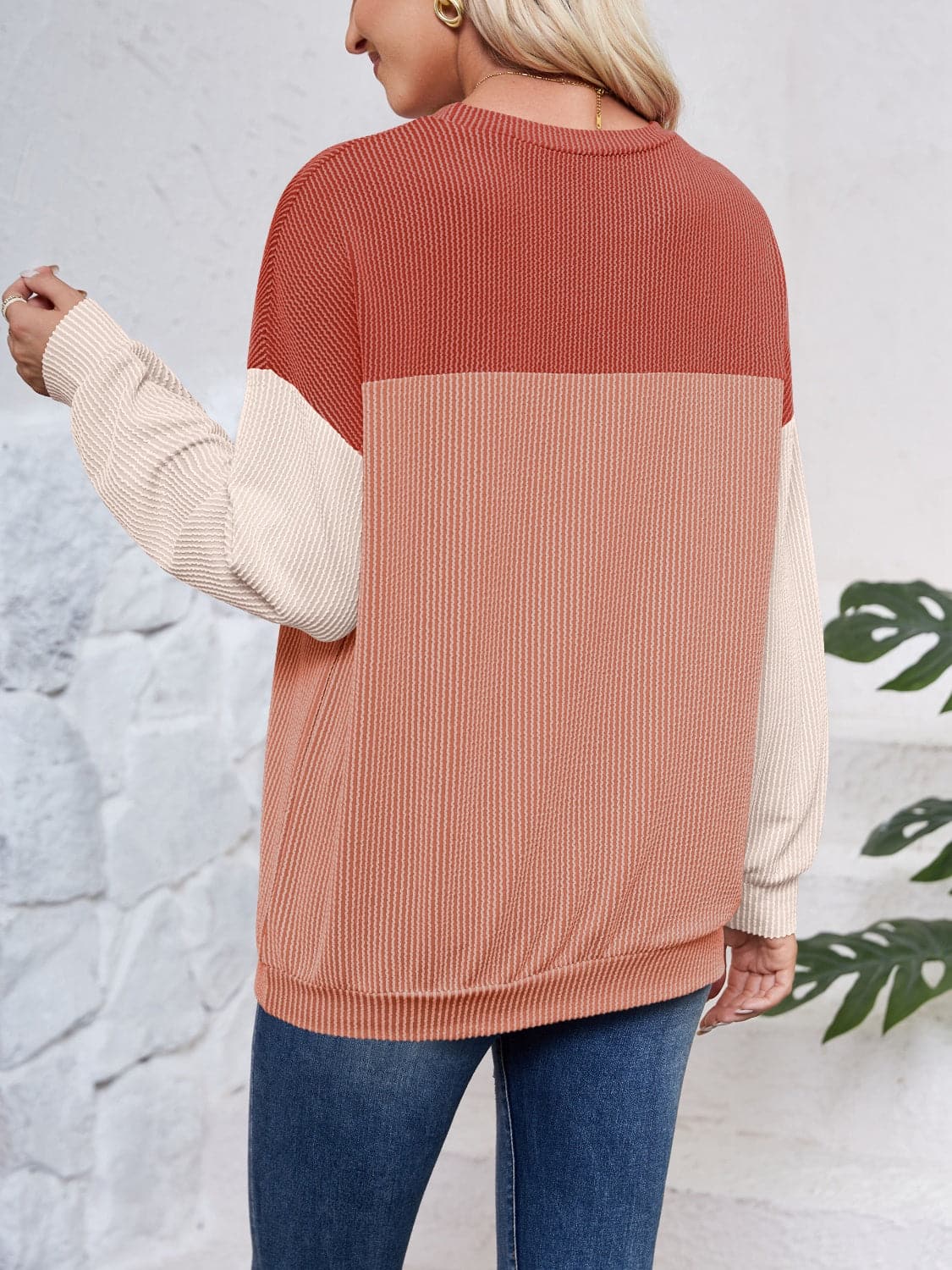 Color Block Round Neck Long Sleeve Sweatshirt.