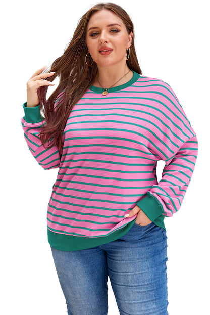 Cozy chic pink stripe plus size sweatshirt with waffle knit texture