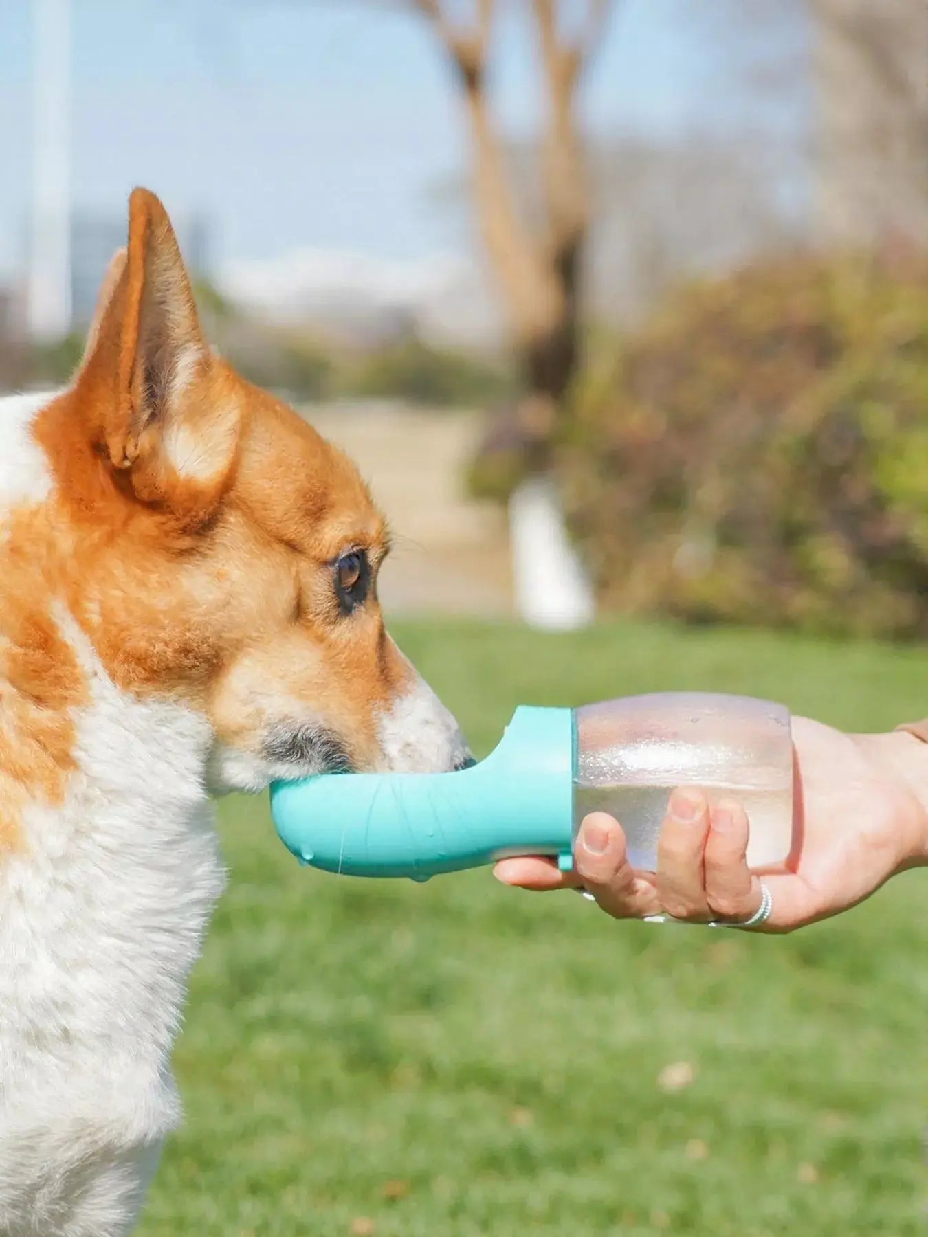 Portable Leak-Proof Pet Water Bottle with Drinking Bowl Simply Love