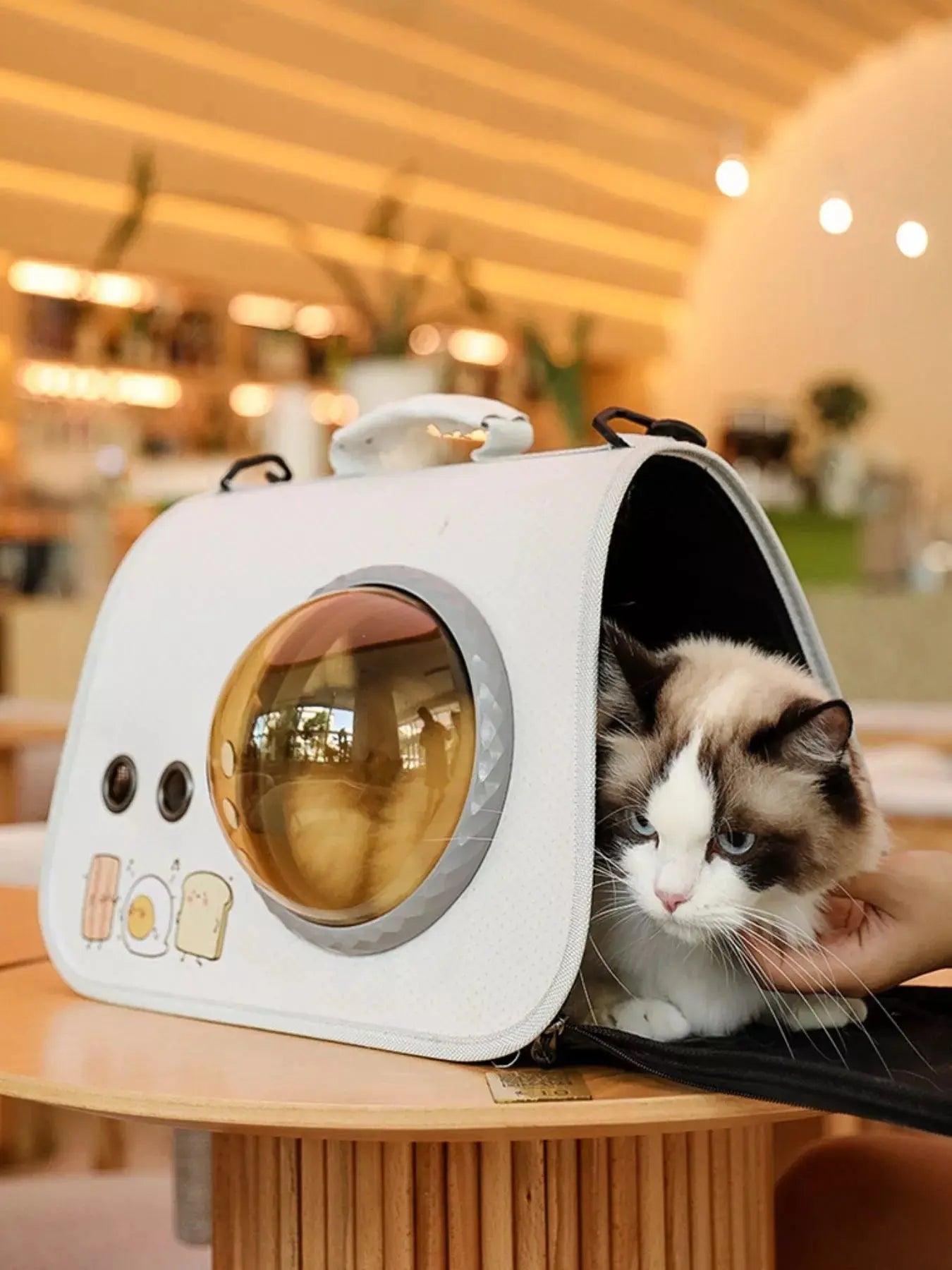 Portable Bubble Window Pet Carrier Bag Simply Love