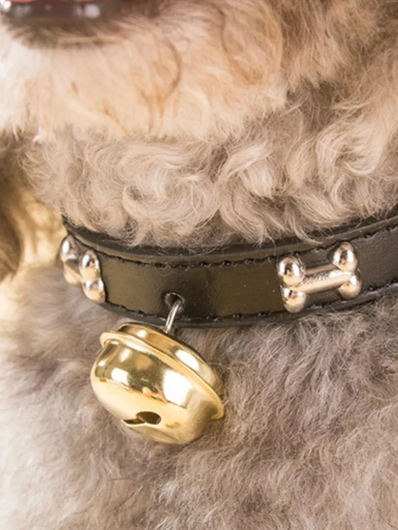 Leather Pet Collar with Bell Simply Love
