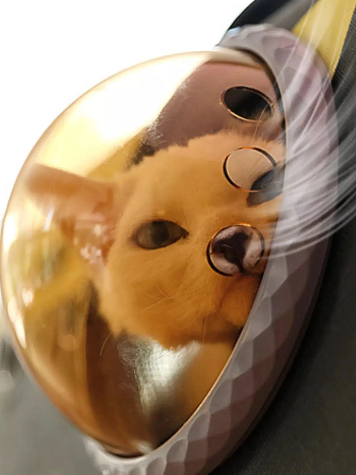 Portable Bubble Window Pet Carrier Bag Simply Love