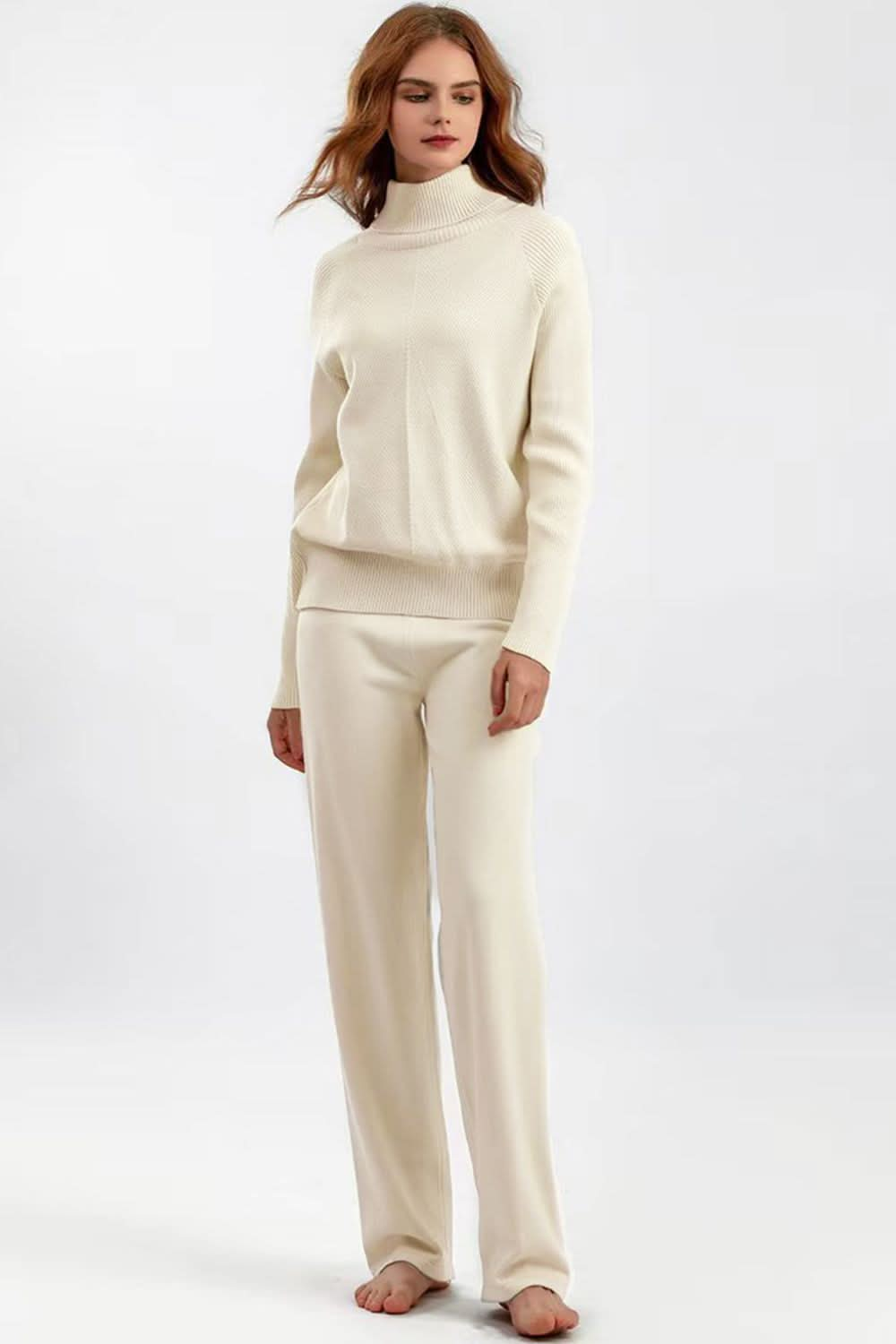 Basic Bae Turtleneck Raglan Sleeve Top and Pants Sweater Set