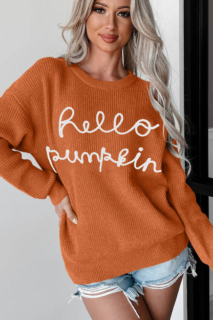 Flamingo autumn vibes "hello pumpkin" graphic sweater