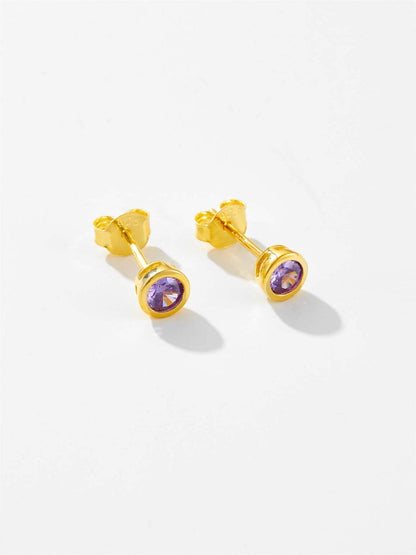 925 Sterling Silver Inlaid Zircon Stud Earrings.