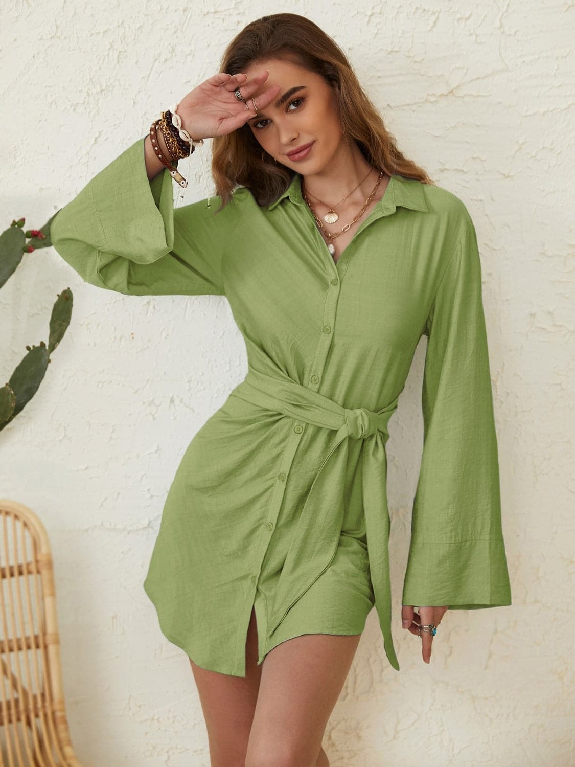 Collared Neck Long Sleeve Mini Shirt Dress.