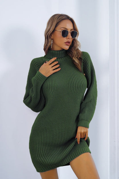 Buttoned Turtleneck Long Sleeve Sweater Dress.