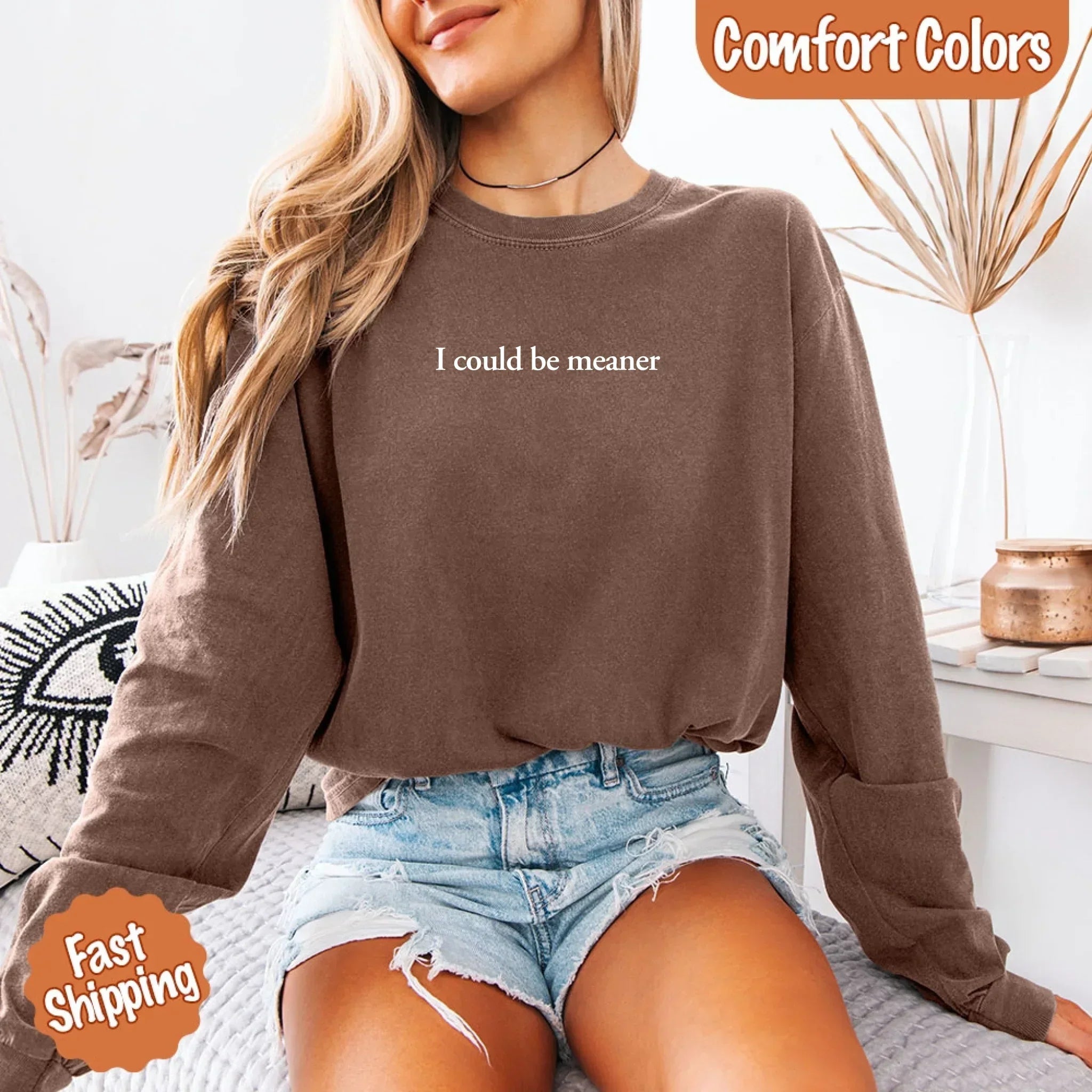 Adorb Custom Tees Comfort Colors I Could Be Meaner Long Sleeve Shirt, angled view highlighting the unique graphic print.