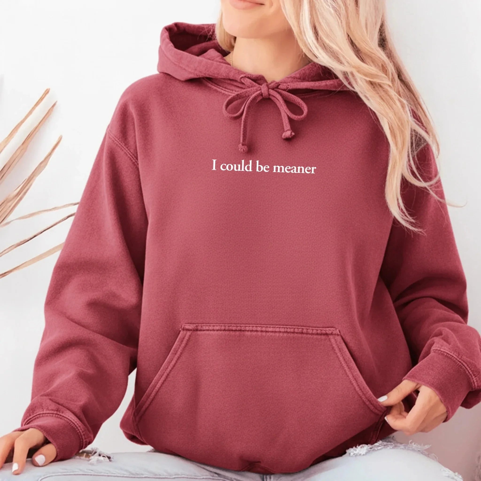 I Could Be Meaner Comfort Colors Hoodie Adorb Custom Tees