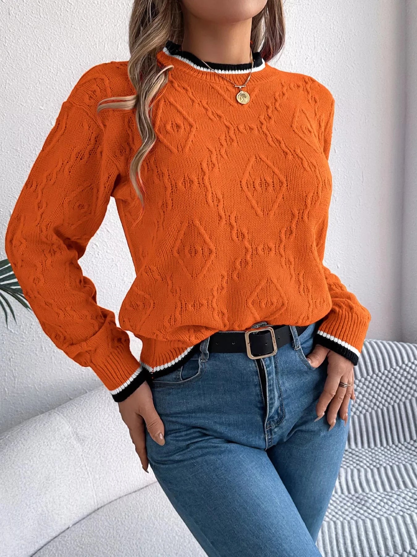 Contrast Trim Round Neck Sweater Coco’s Tee Boutique