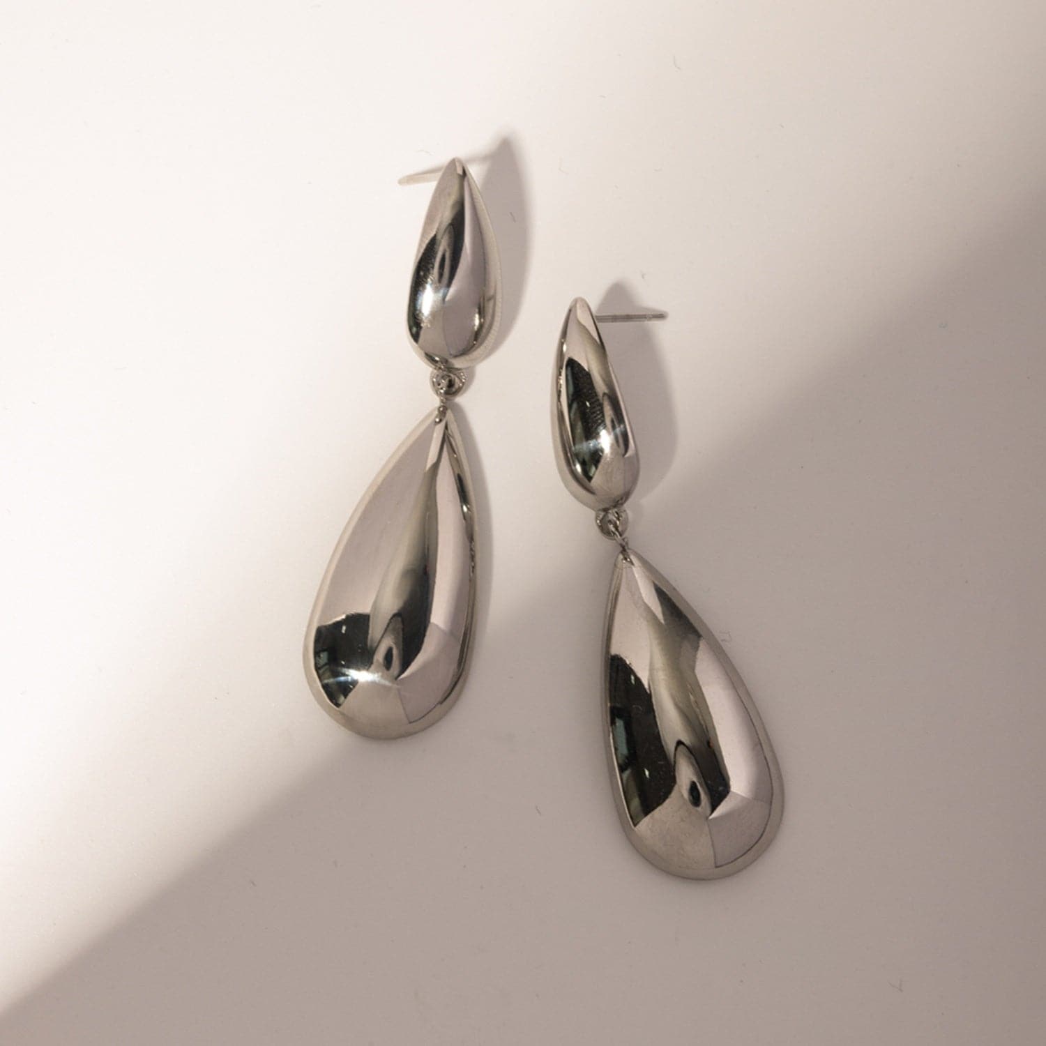 Stainless Steel Dangle Earrings.