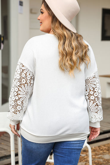 White Plus Contrast V Neck Lace Long Sleeve Top