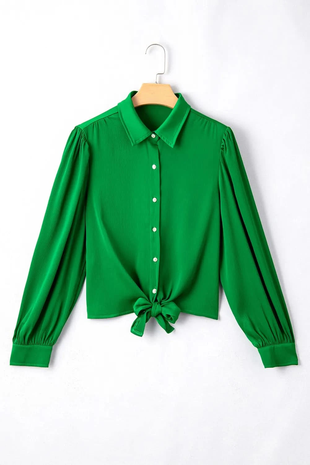 Tied Collared Neck Long Sleeve Shirt