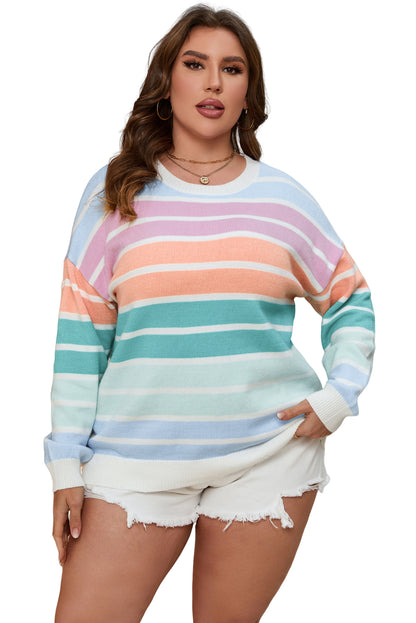 Chic multicolor striped plus size crewneck sweater