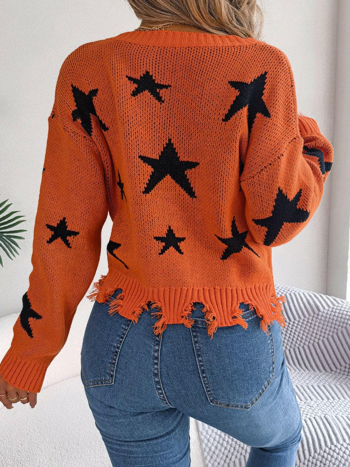 Star Pattern Distressed V-Neck Cropped Sweater.