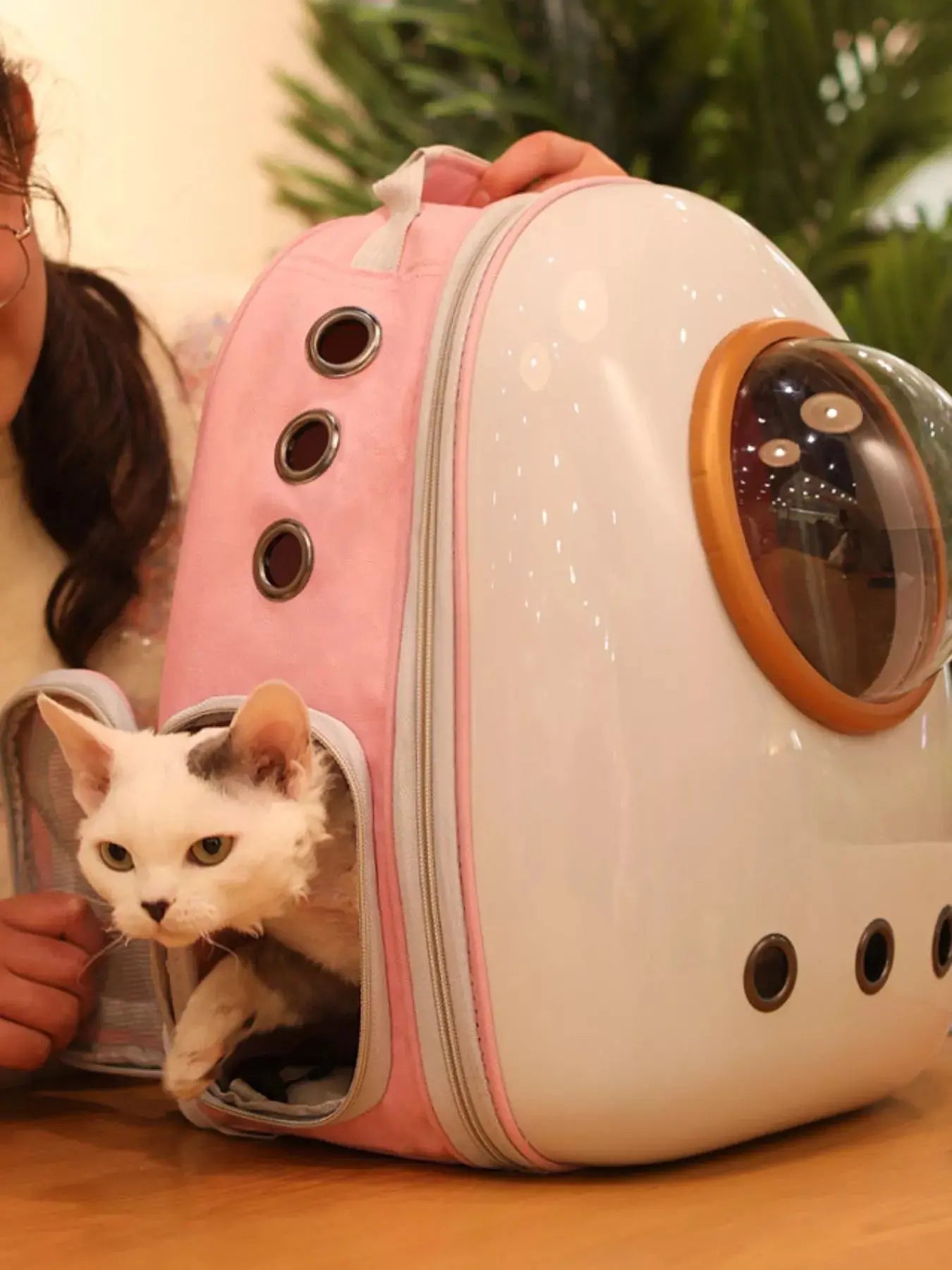 Space Capsule Transparent Pet Carrier Backpack Simply Love