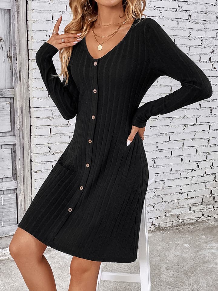 V-Neck Long Sleeve Mini Dress.