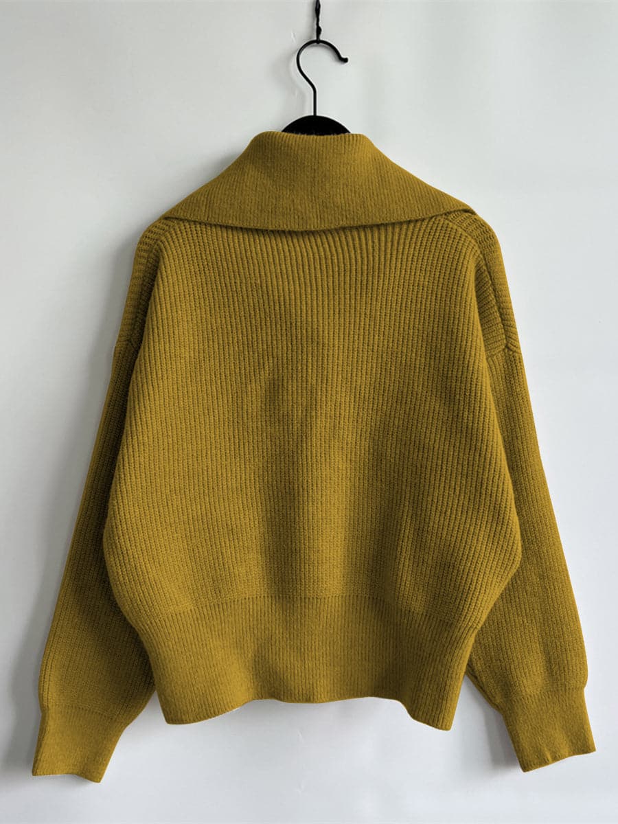 Statement Collar Half Button Sweater.