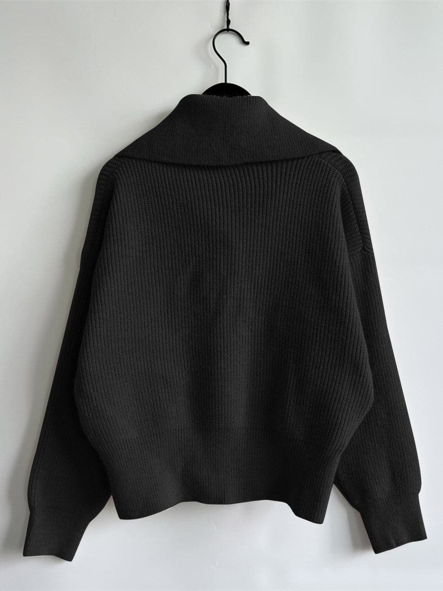 Statement Collar Half Button Sweater.